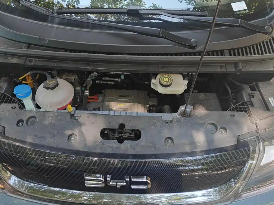 BYD Dolphin 2026 2025 420km Freedom Edition