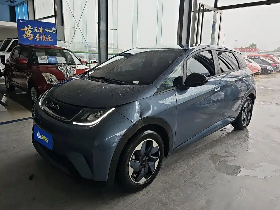 BYD Dolphin 2026 2025 420km Freedom Edition
