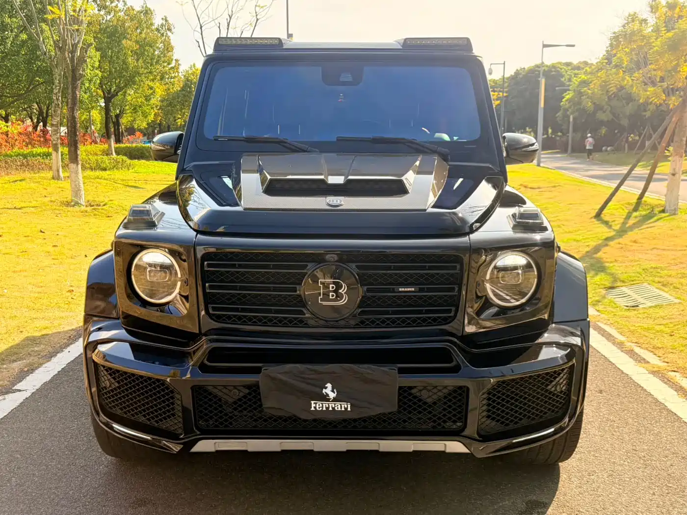 Mercedes-Benz G-Class 2019 G 500 фото 2