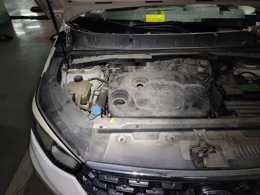 Changan CS55 2019 2018 1.5T Automatic Chromatic China V