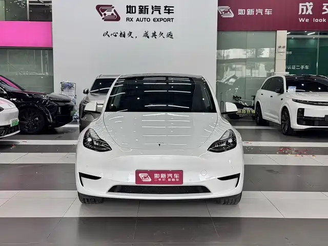 Tesla Model Y 2023 Rear-Wheel Drive Edition — фото 3