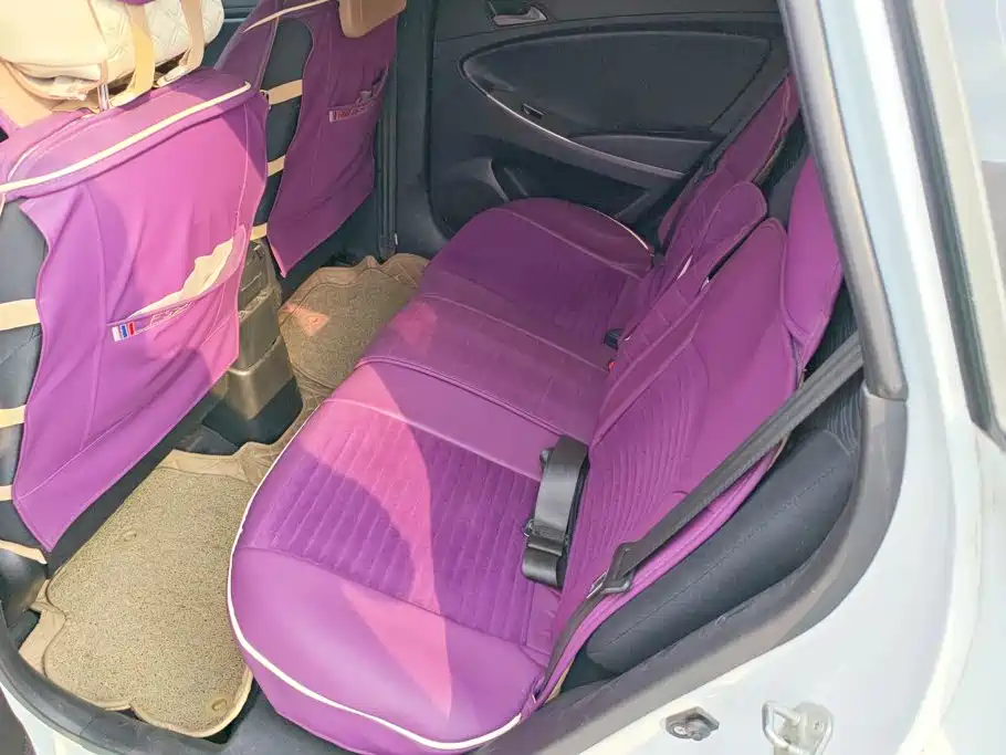 صورة 11 - Hyundai Reina