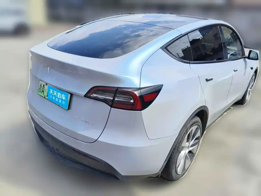 Tesla Model Y 2021 2021 Long Range All-Wheel Drive 3D7
