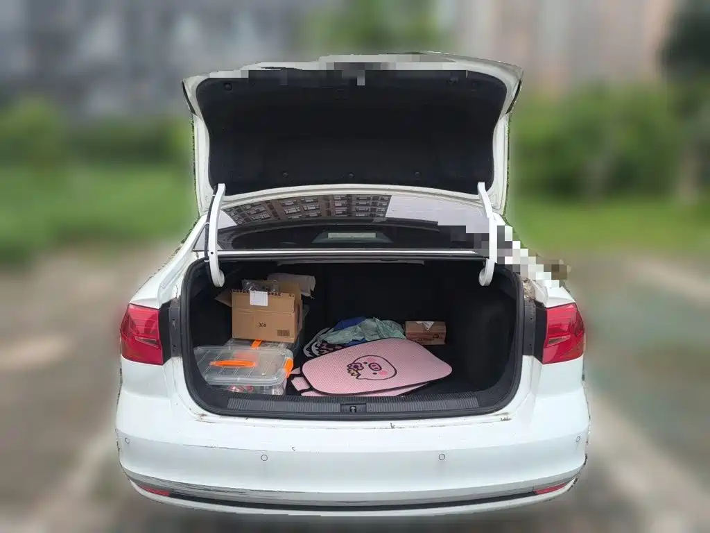 Photo 10 - Volkswagen Bora