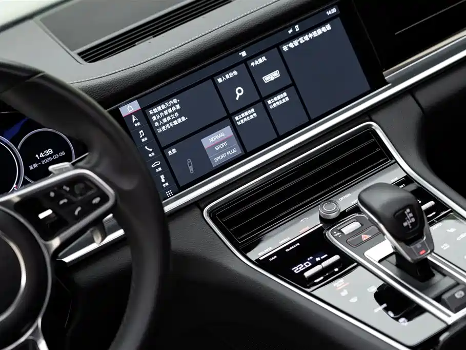 Porsche Panamera 2020 Panamera 10th Anniversary Edition 2.9T фото 15
