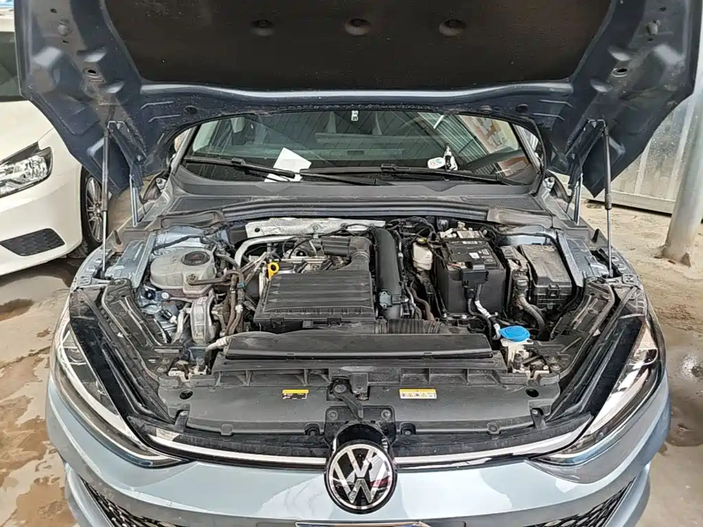 Volkswagen Lamando, миниатюра 20
