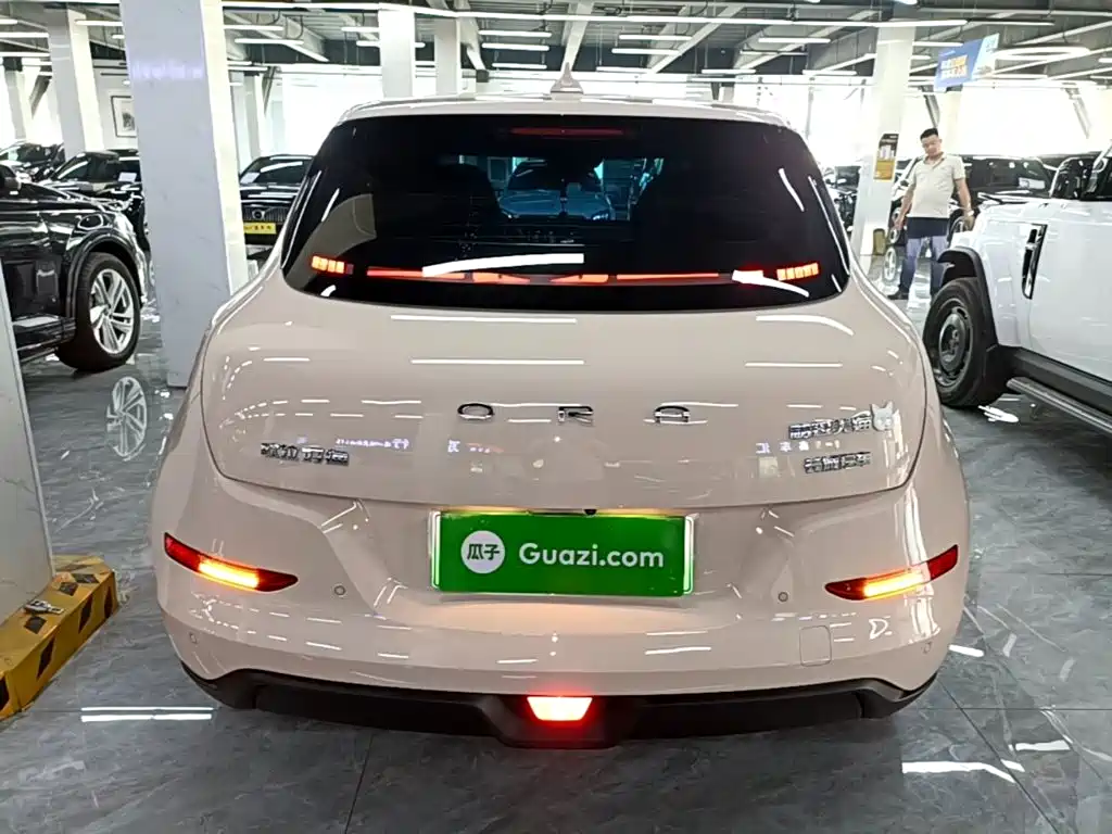 Ora Good Cat 2025 2024 401km Luxury