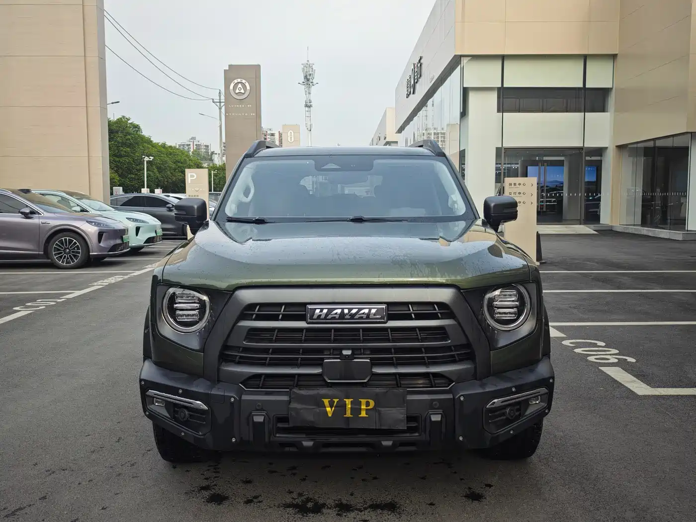 HAVAL BIG DOG