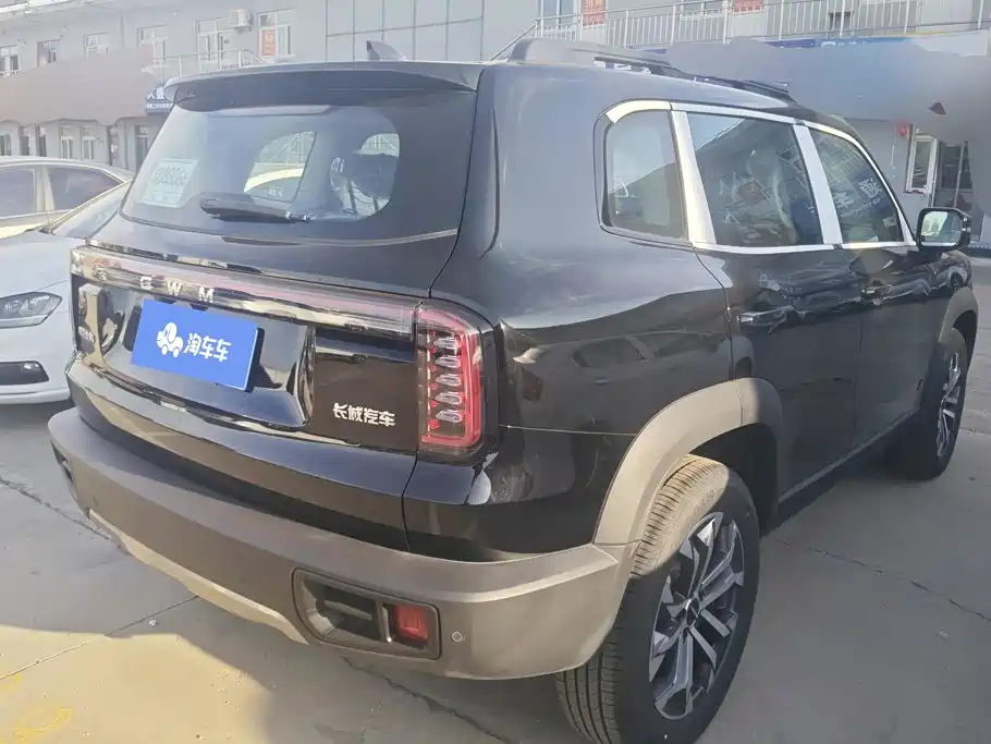 Фото 3 - Haval Dargo