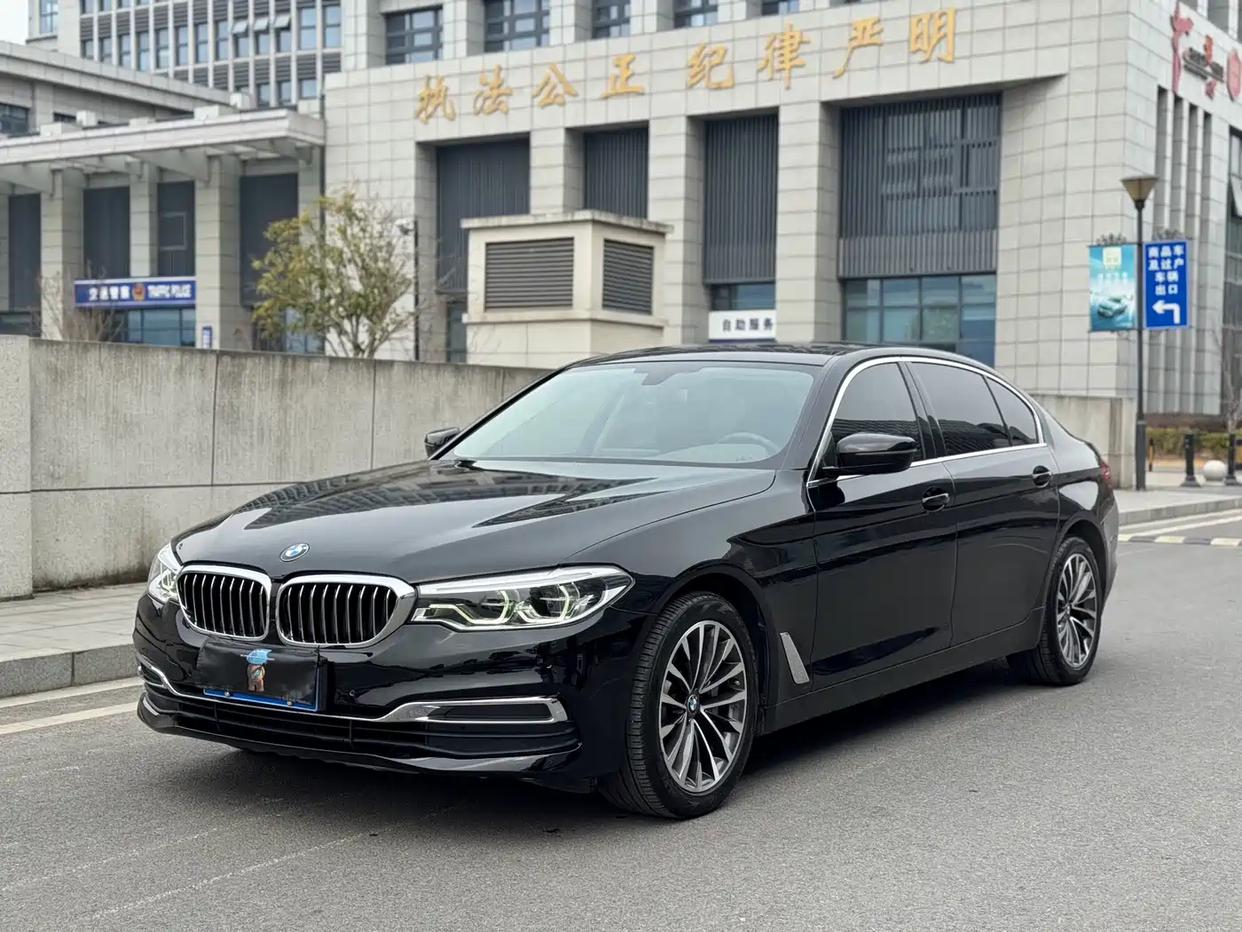 BMW 5 Series 2020 530Li Leading Luxury Package