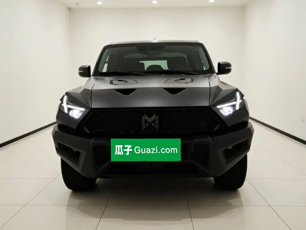 Mengshi 917 2025 2023 Extended Range Base Version