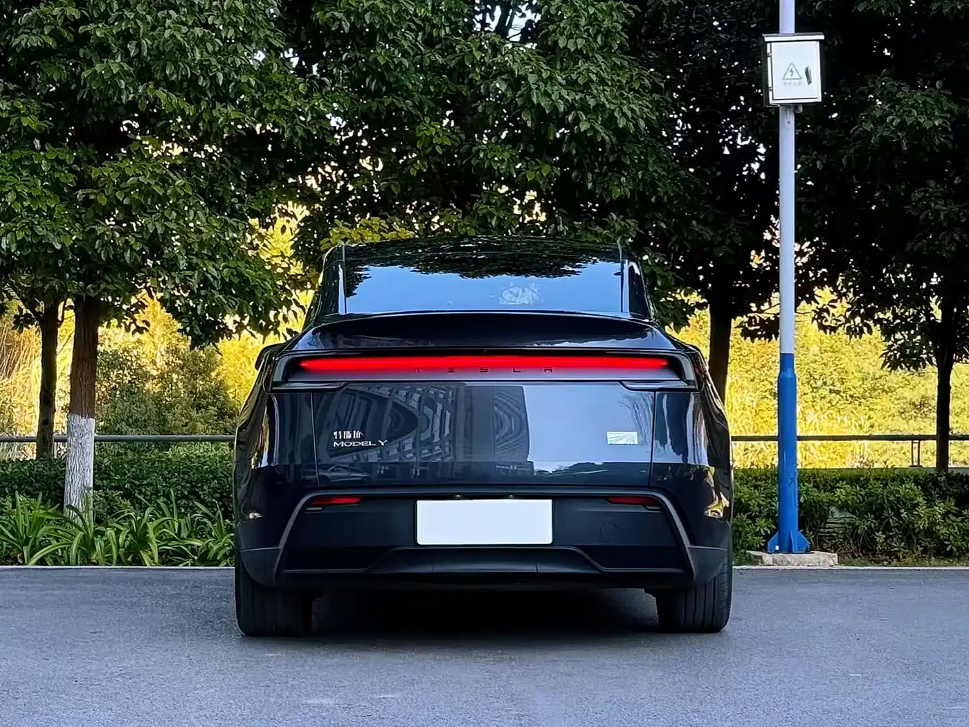 TESLA MODEL Y