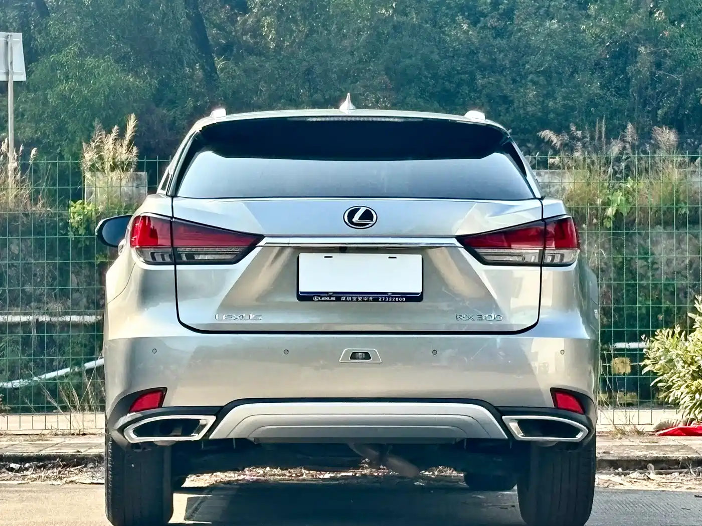 Lexus RX 2020 Facelift 300 2WD Comfort Edition фото 16