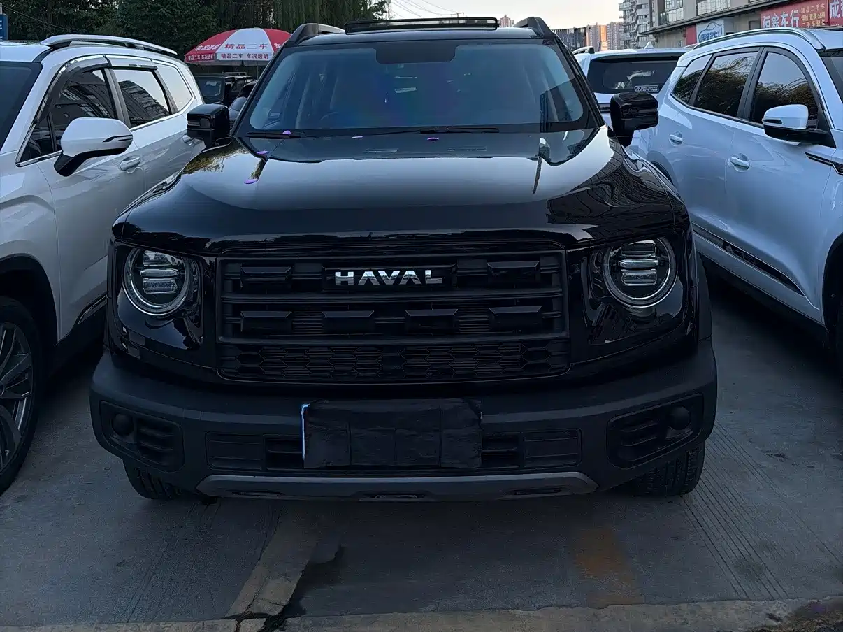 Photo 2 - Haval Dargo