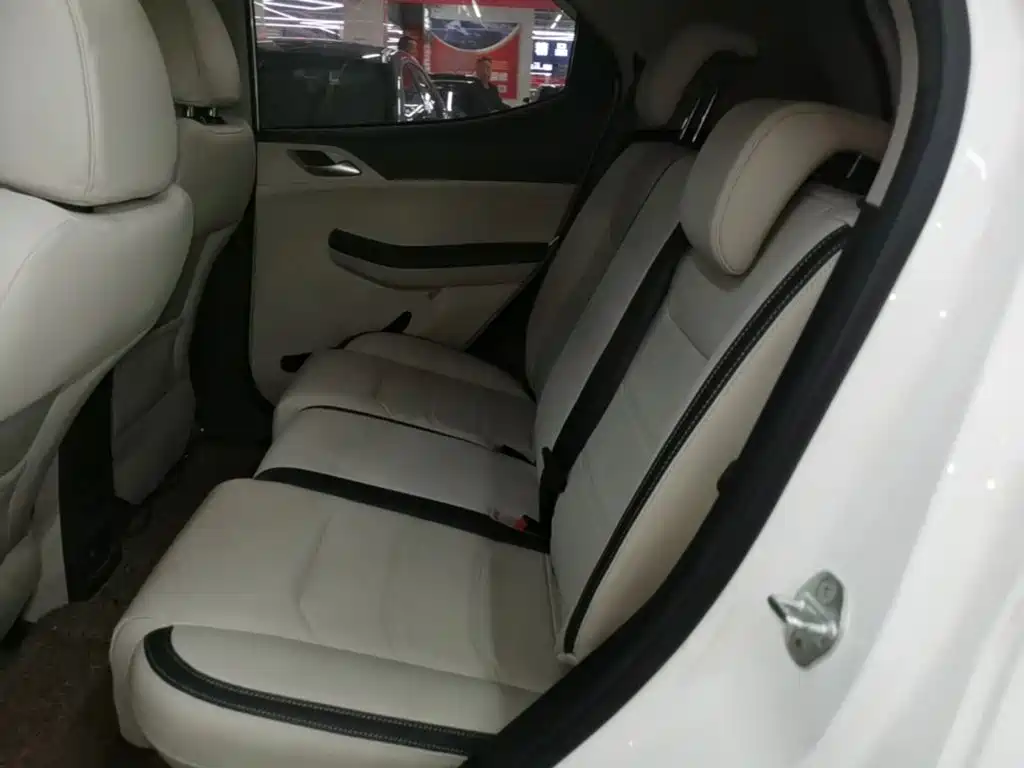 BYD Yuan Pro 2022 2021 401KM Premium Model