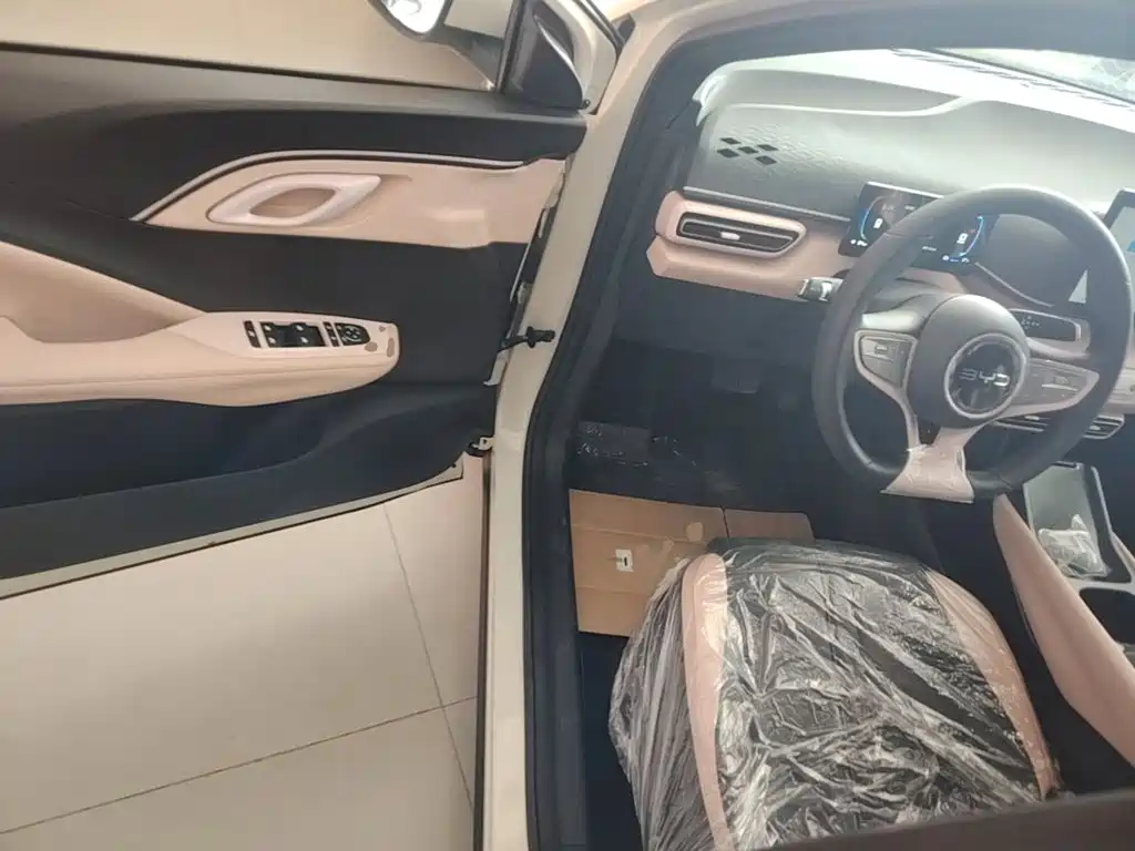 BYD Seagull 2026 2025 Smart Drive Edition 305km Vitality Version