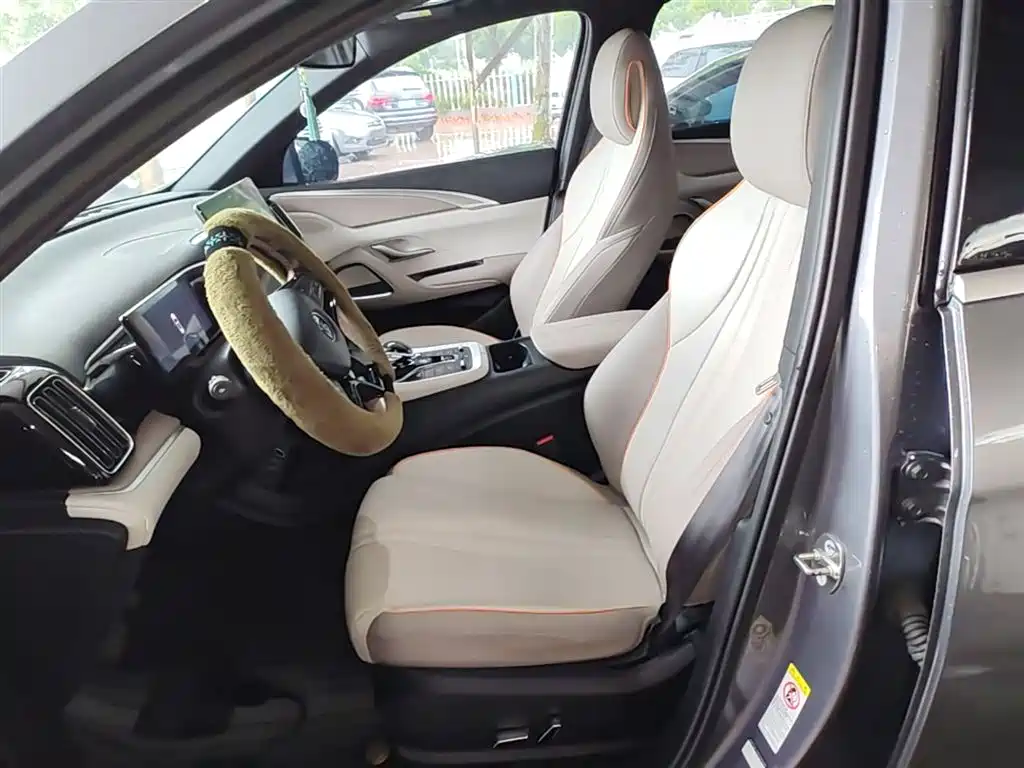 BYD Song Pro New Energy 2023 Champion Edition DM-i 110KM Excellence фото 15