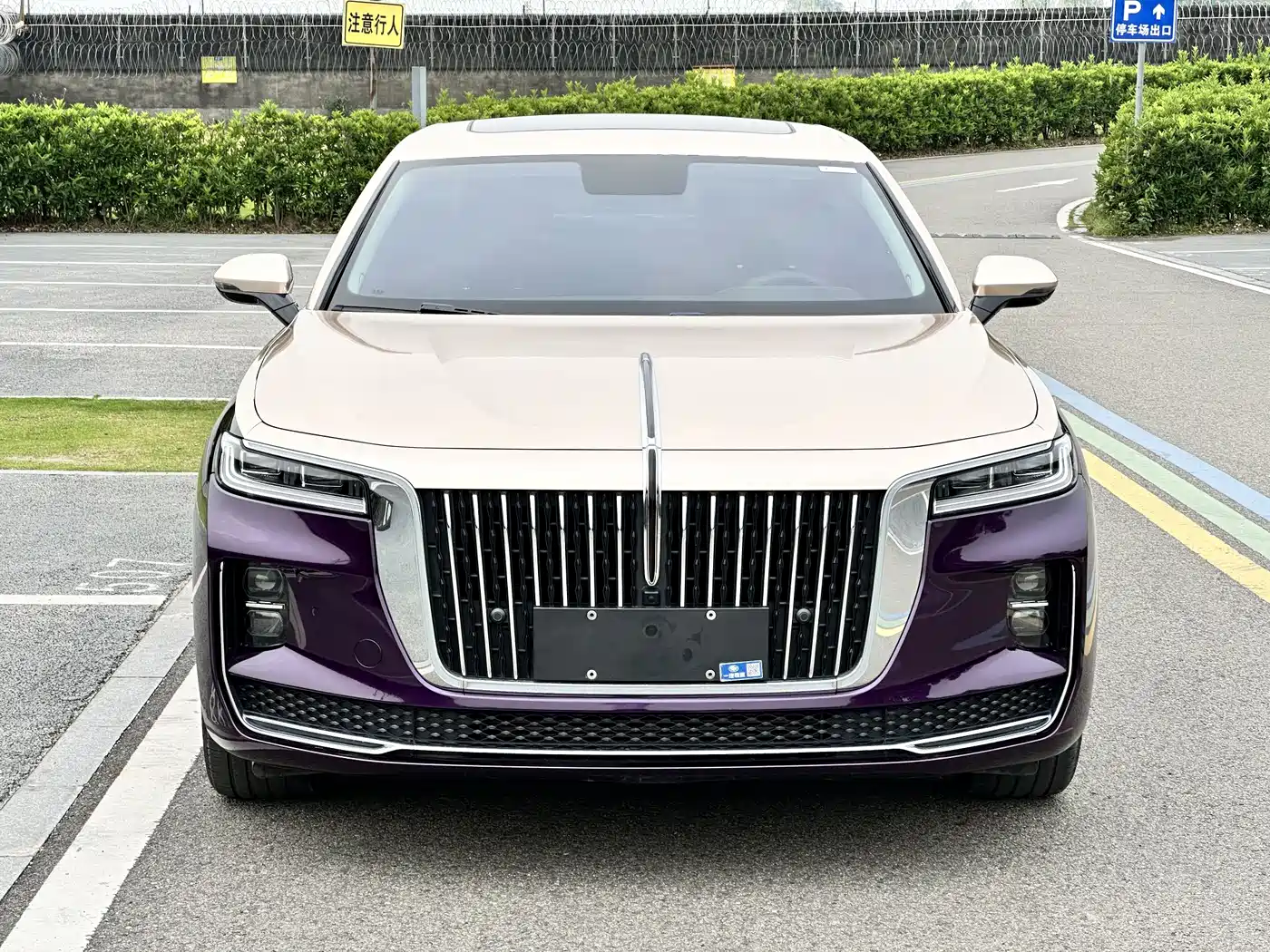 Hongqi H9 2022 2.0T Smart Connect Flag Enjoy Edition фото 2