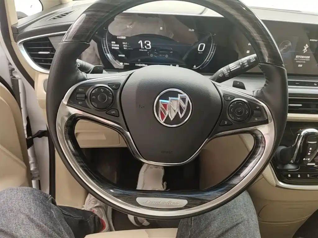 Buick GL8 2022 ES Landmark 653T Premium фото 11