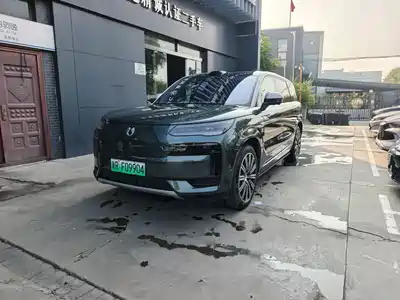 Denza N9