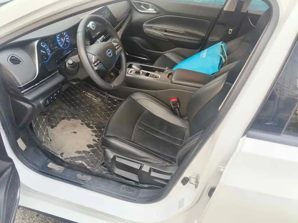 Aion S 2020 2019 Xuan 530