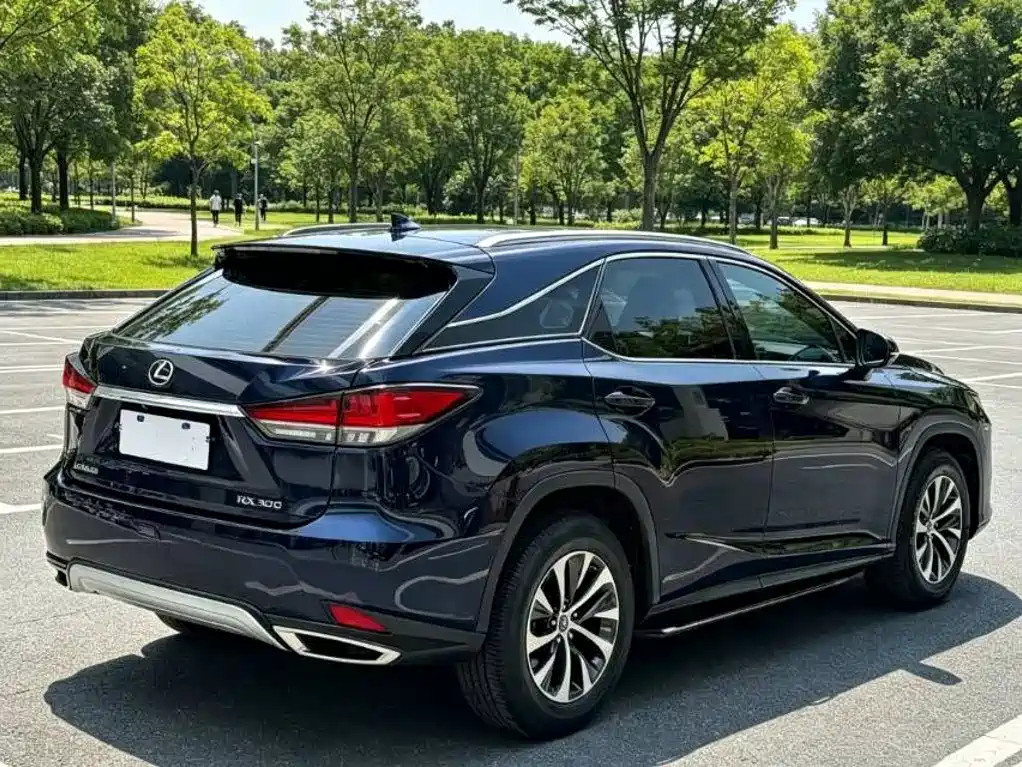 Фото 4 - Lexus RX
