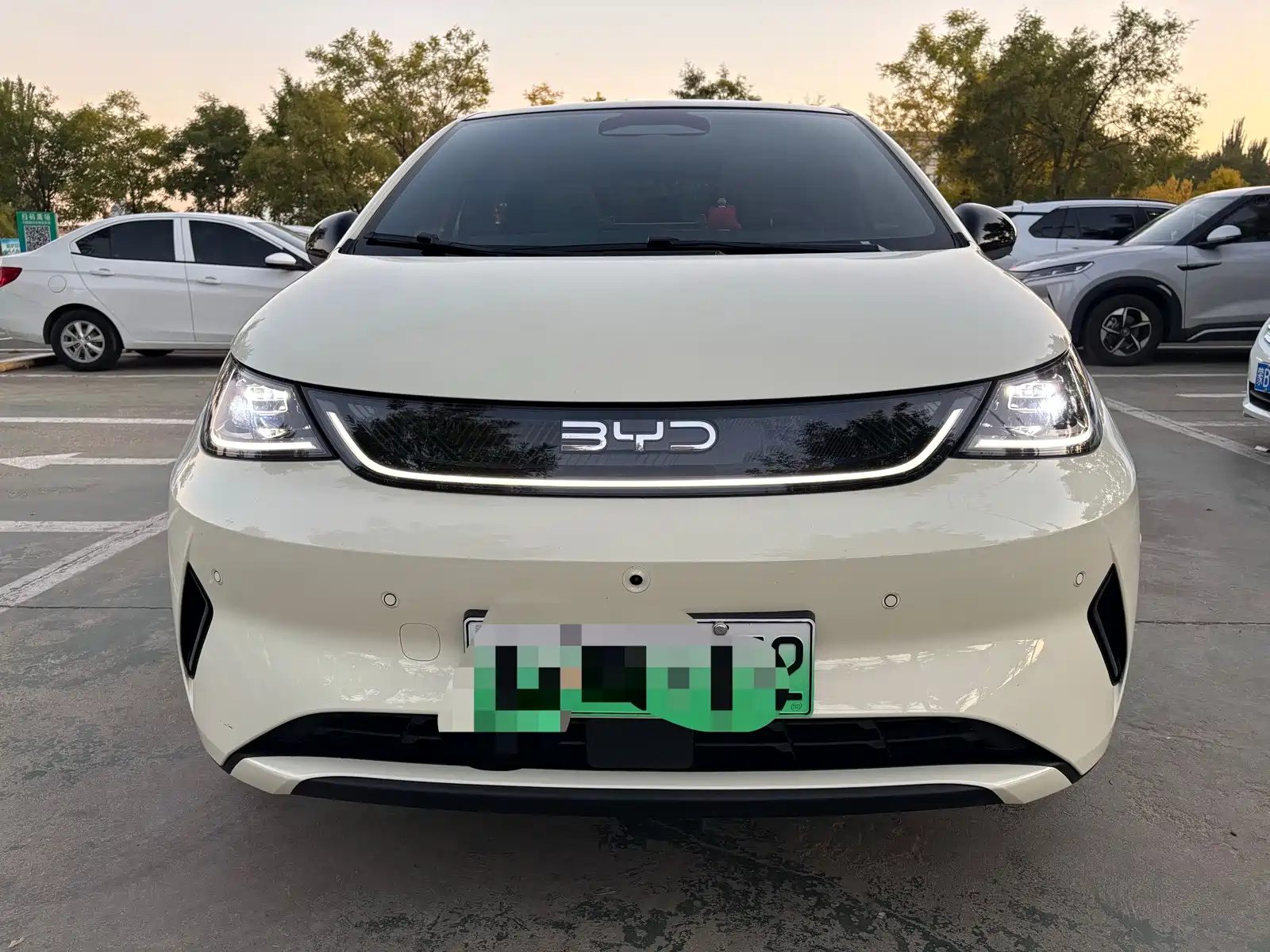 Фото 9 - BYD Dolphin
