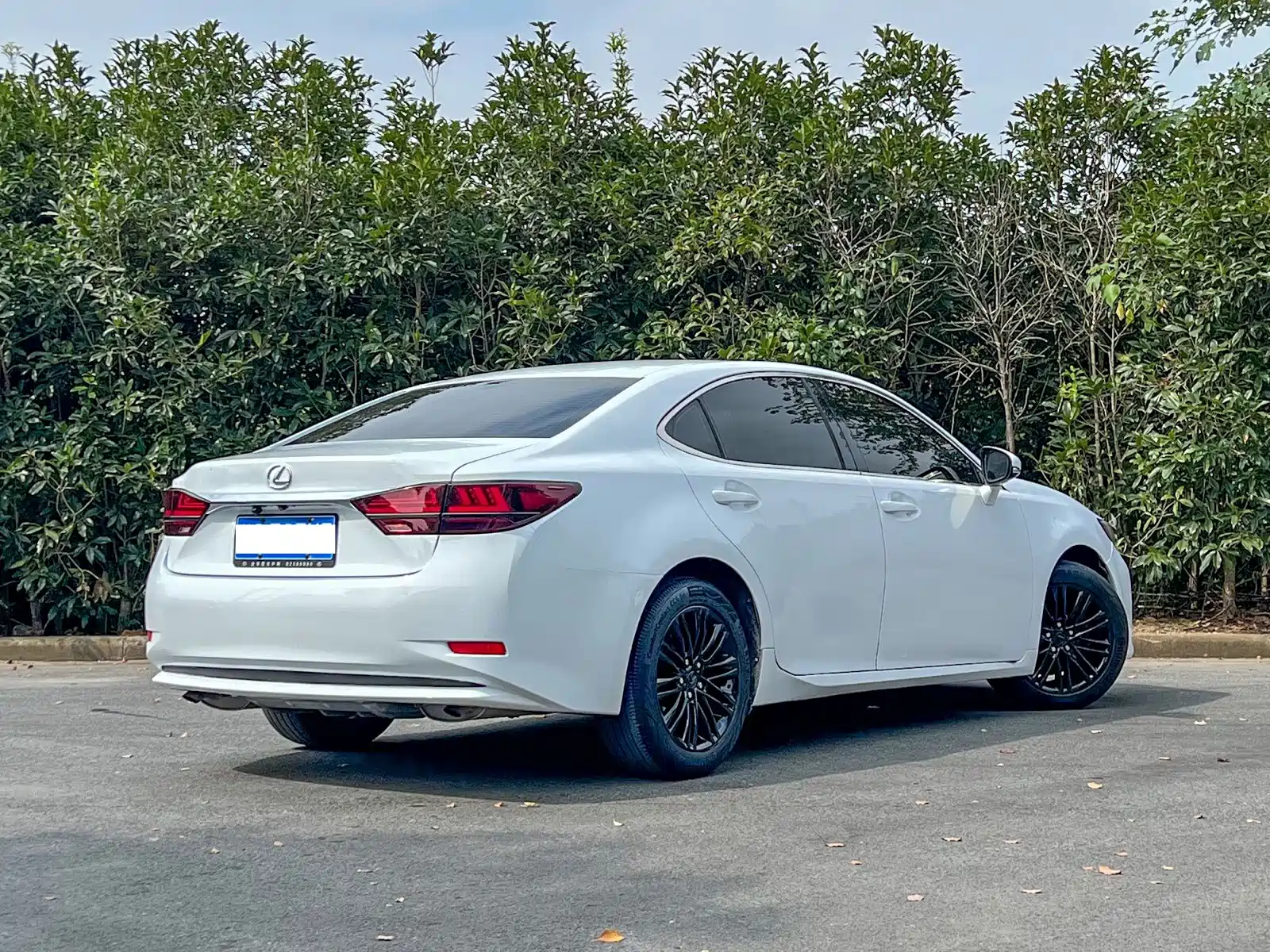 Фото 4 - Lexus ES
