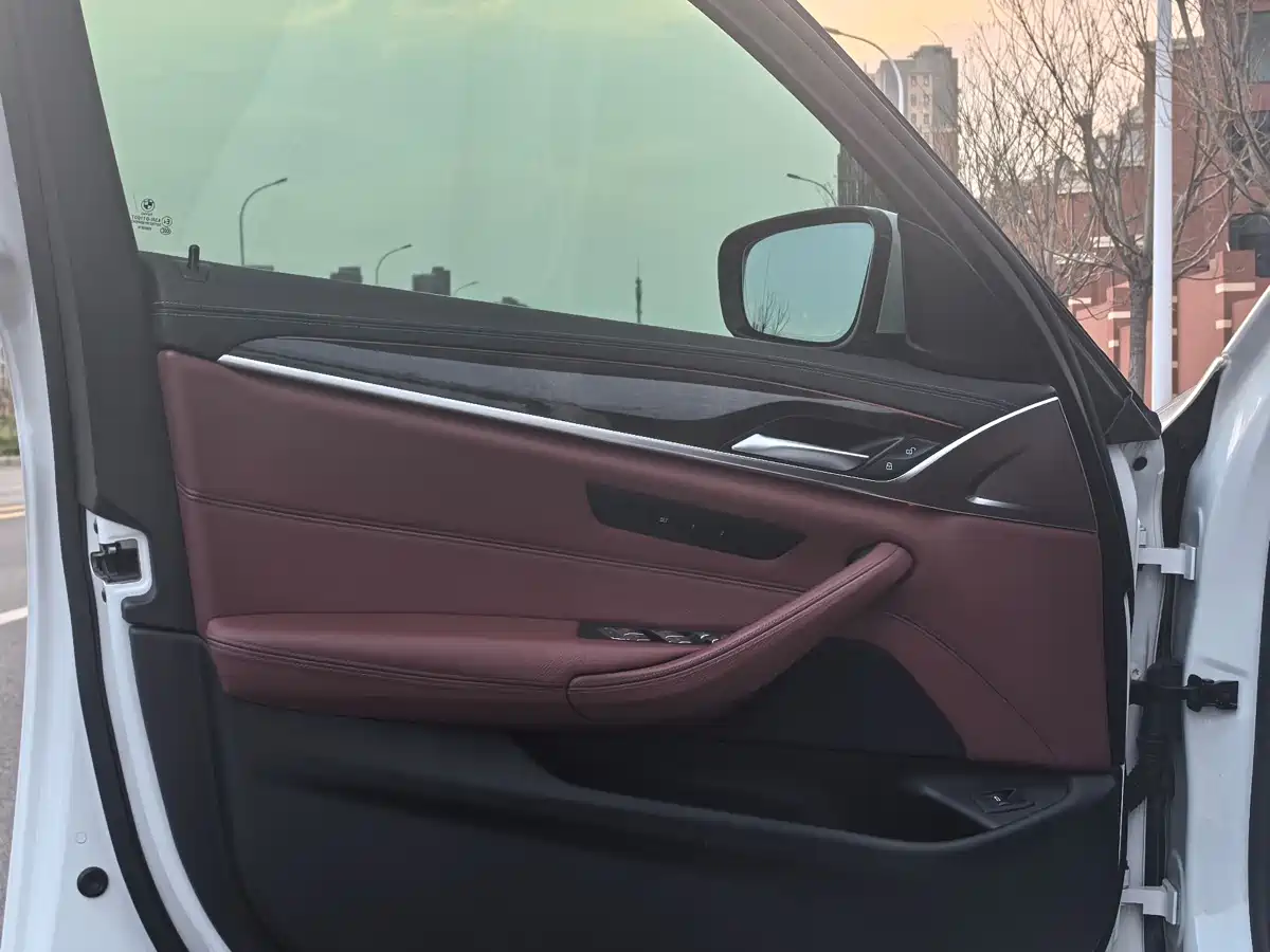 BMW 5 Series 2020 530Li Leading M Sport Package фото 7
