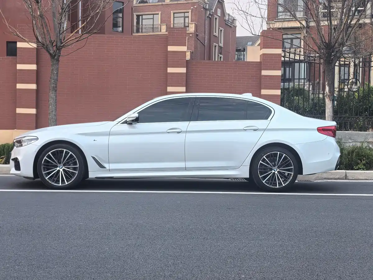 BMW 5 Series 2020 530Li Leading M Sport Package фото 18