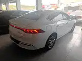 Фото 7 - BYD Qin PLUS
