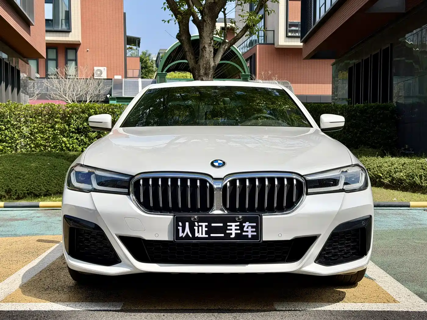 BMW 5 Series 2021 530Li Leading M Sport Package фото 2