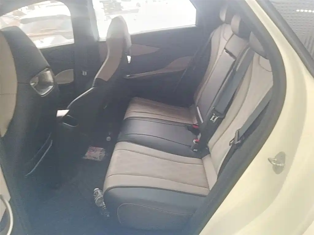 BYD Dolphin 2023 420km Fashion Edition фото 17