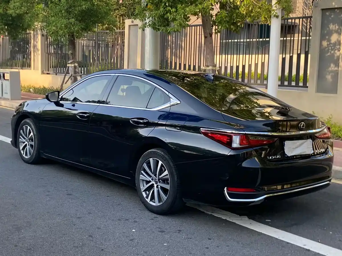 Lexus ES 2018 260 Excellence Edition China V фото 8