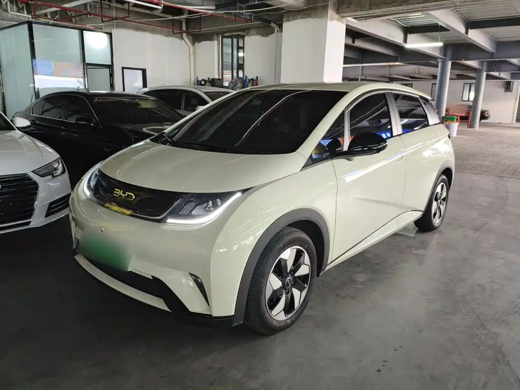 Фото 1 - BYD Dolphin