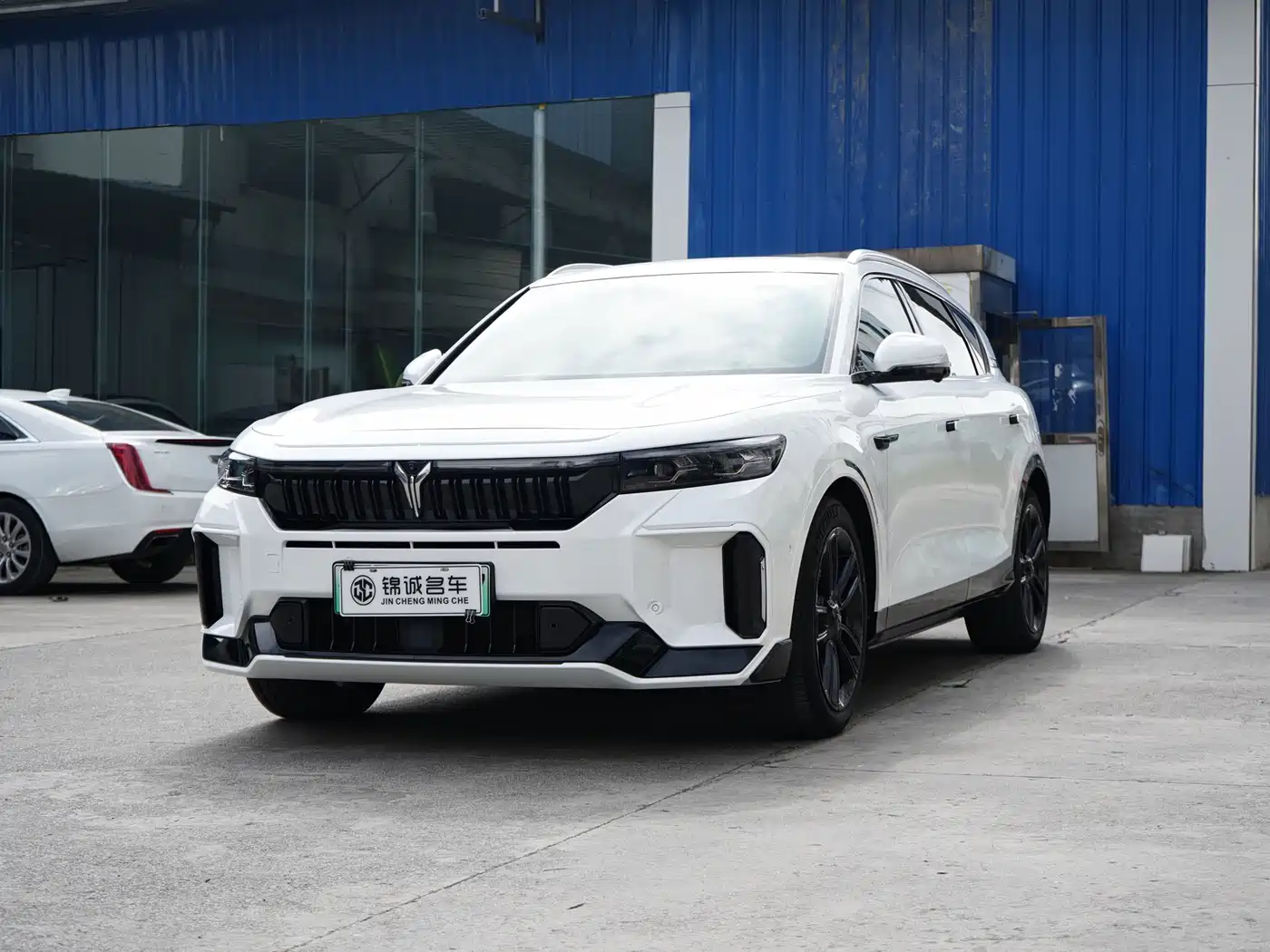 Voyah Auto VOYAH FREE 2024 Ultra Long Range Intelligent Driving Edition