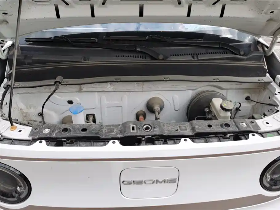 Geely Galaxy Panda 2023 Panda Mini 200km Endurance Bear фото 10