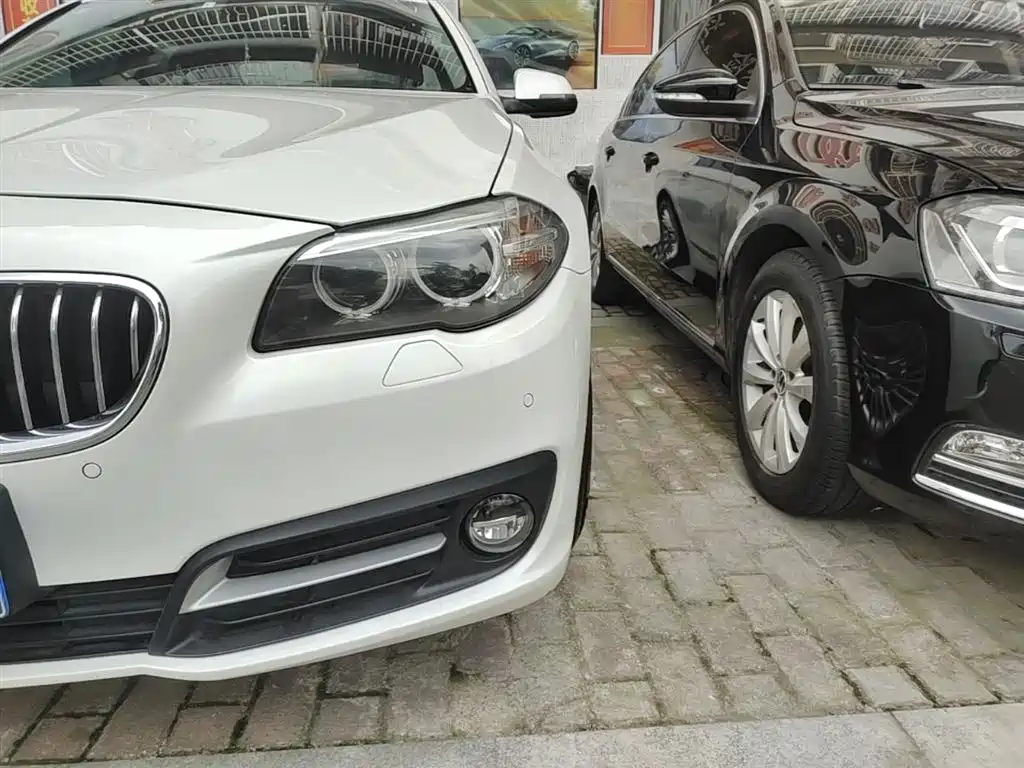 BMW 5 Series 2014 525Li Leading фото 24