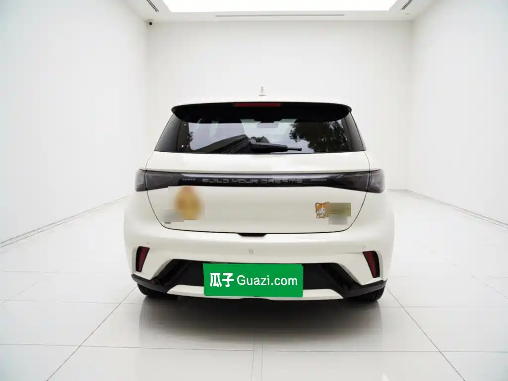 BYD Dolphin 2026 2025 420km Freedom Edition