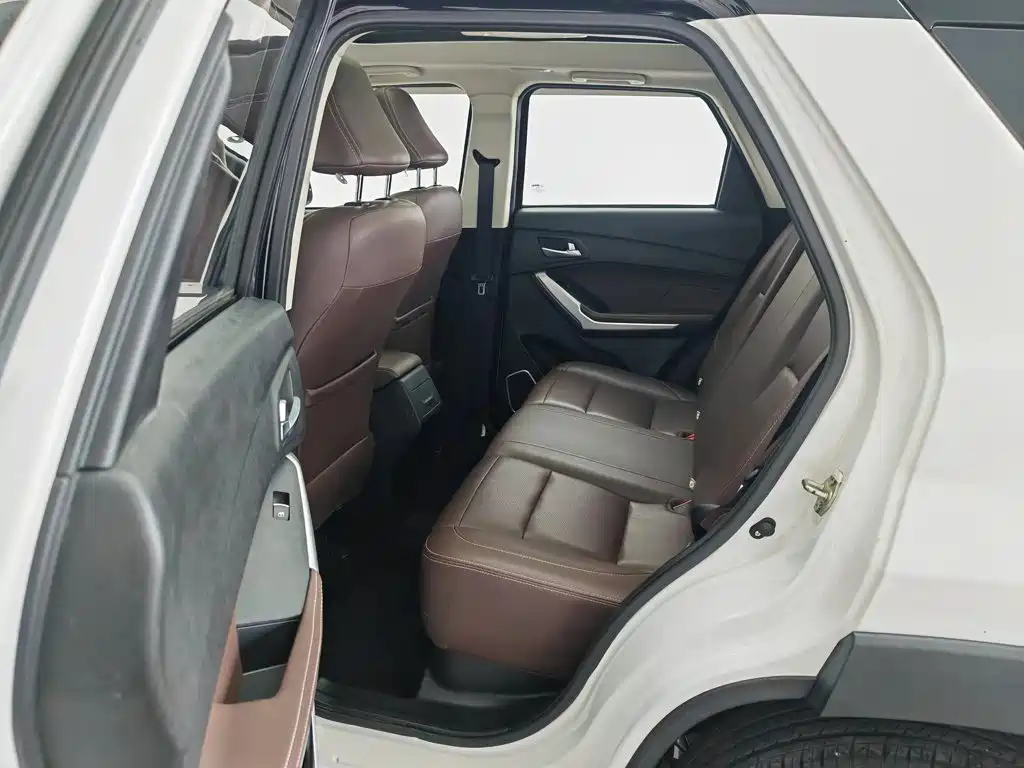 Bisu Auto Bisu T3 2021 2017 1.3T Manual Luxury