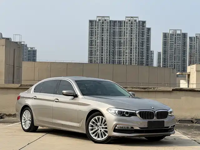 BMW 5 Series 2018 530Li xDrive Luxury Package — фото 3