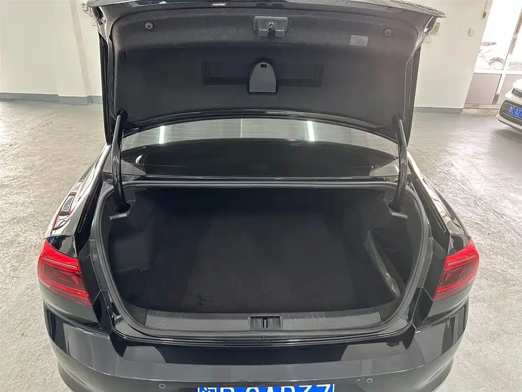Volkswagen Magotan 2020 280TSI DSG Leading фото 21