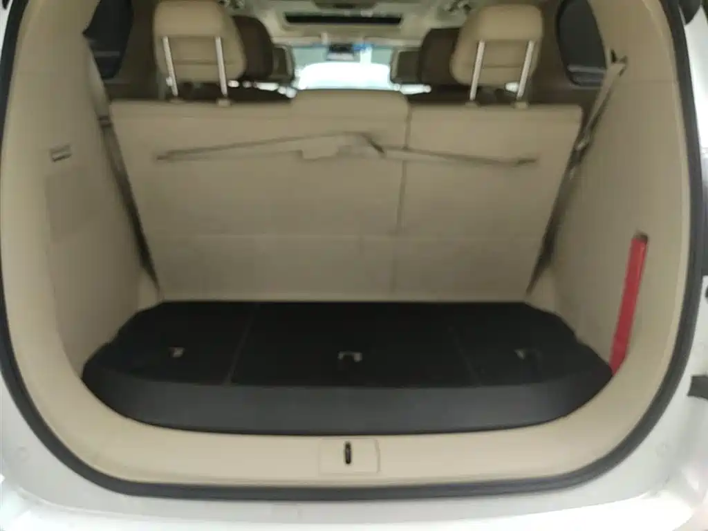 Buick GL8 2022 ES Landmark 653T Premium фото 19