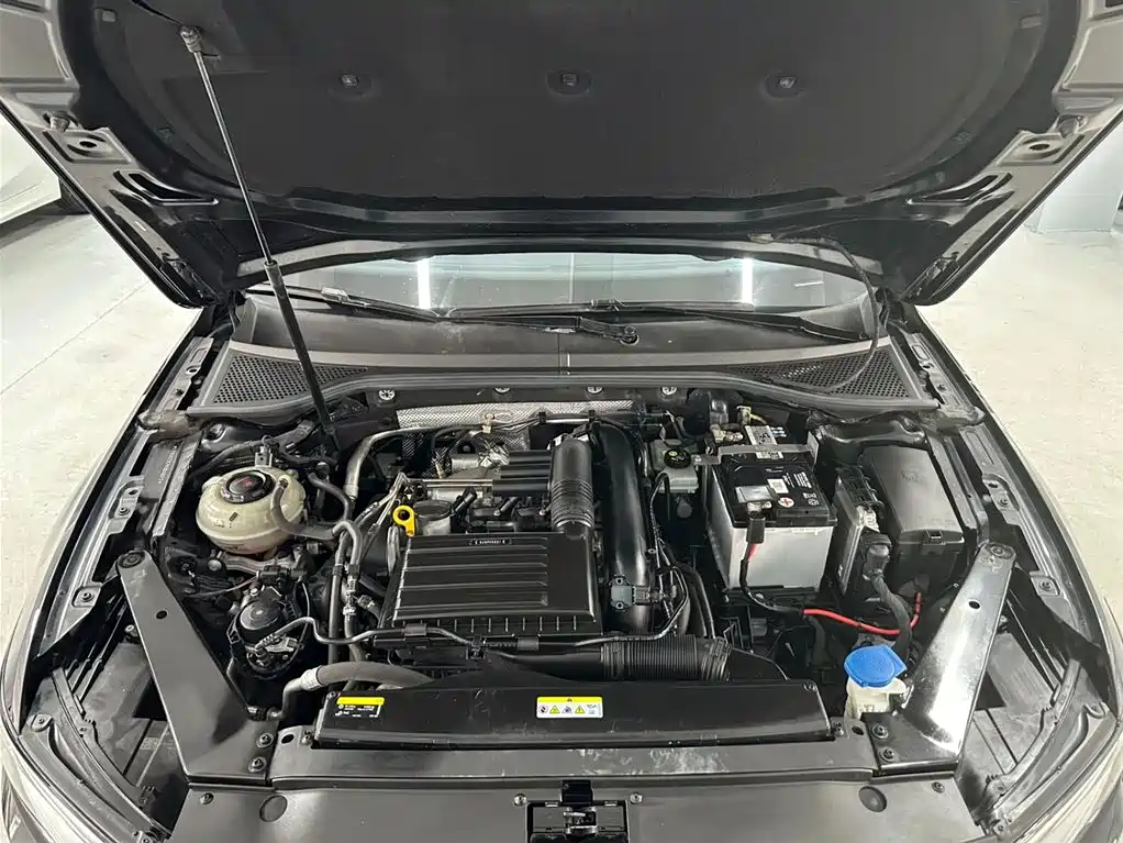 Volkswagen Magotan 2020 280TSI DSG Leading фото 20