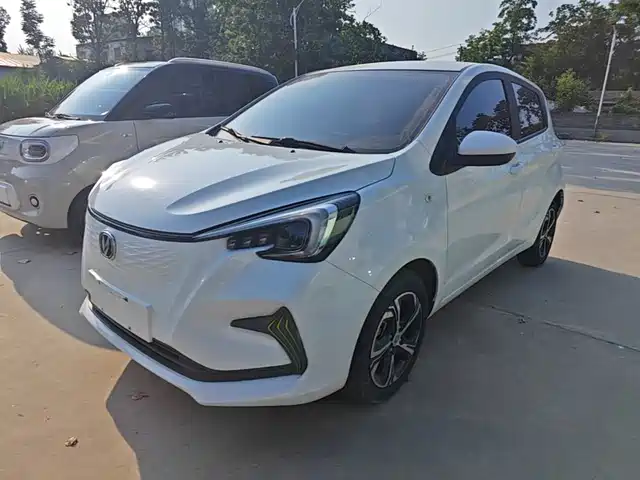  Changan Changan Benben E-Star 2020 Model Happy Edition (LFP 31.18kWh)