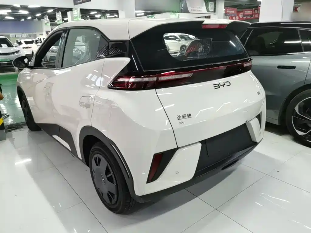 BYD Seagull 2026 2025 Smart Drive Edition 305km Vitality Version
