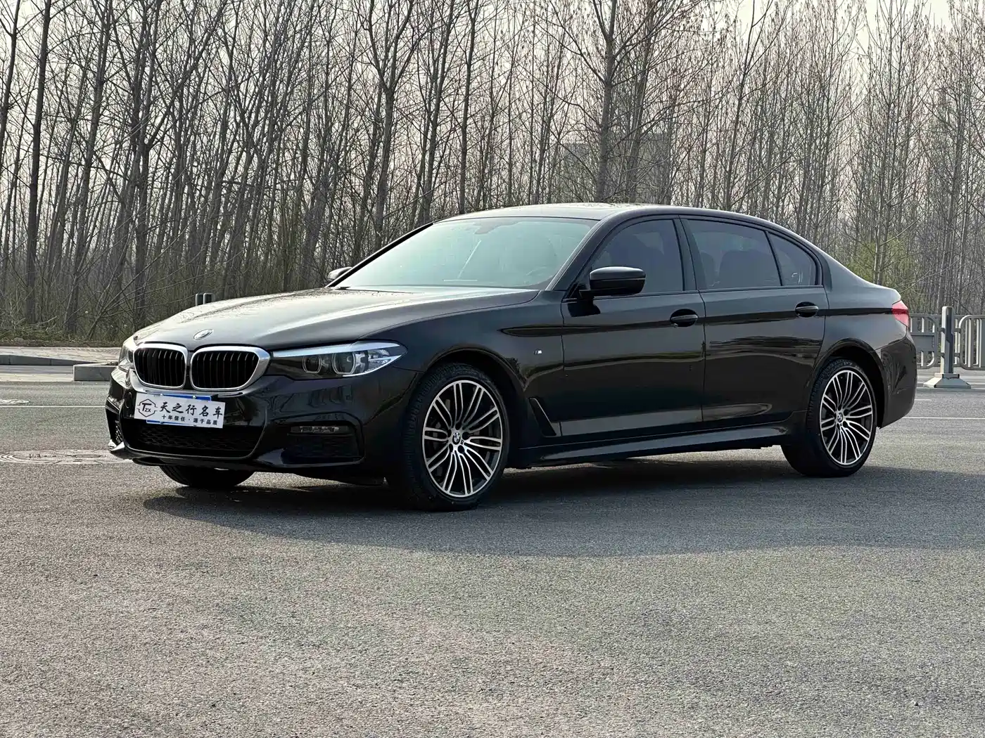 BMW 5 Series 2019 530Li Leading M Sport Package