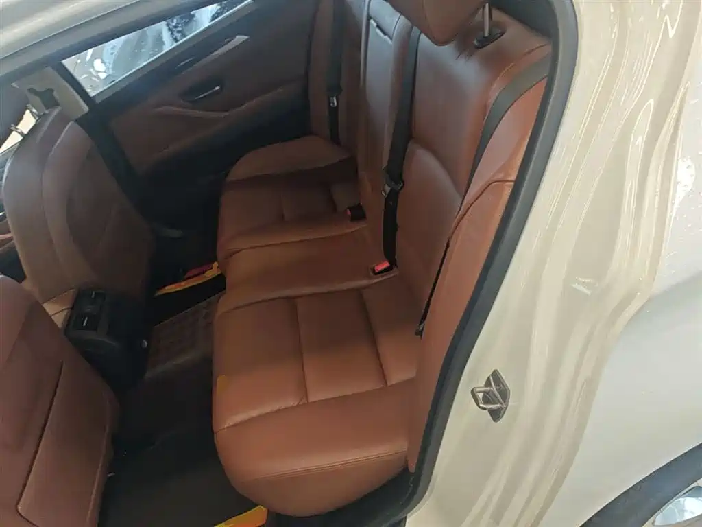 BMW 5 Series 2017 525Li Leading Edition фото 17