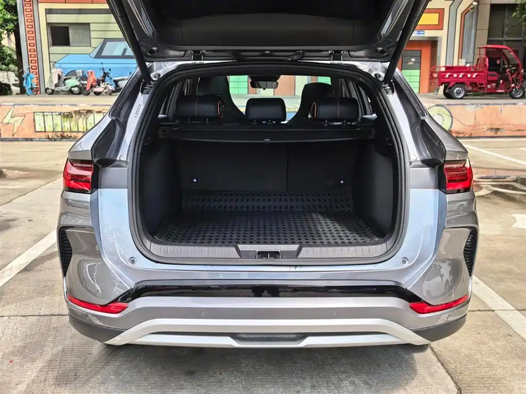 BYD SONGJIANG NEW ENERGY