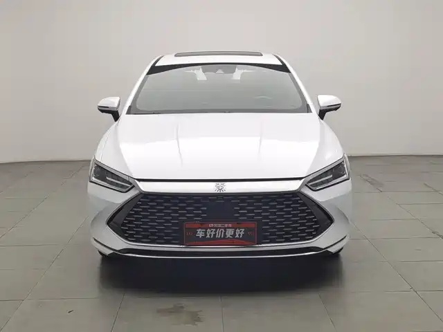 BYD Qin PLUS 2023 Champion Edition DM-i 120KM Excellence — фото 3